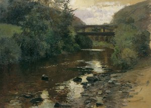 Waldwasser mit Brücke