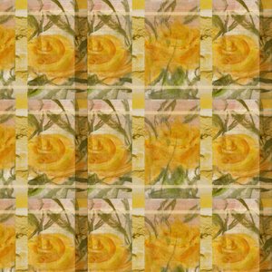 Fantasie mit Rosen