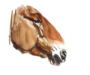 Antiker Kopf (Przewalski), 2012