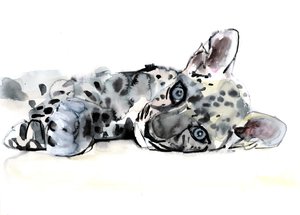 Arabischer Leopardenjunges, 2008 von Mark Adlington