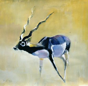 Schwarzer Bock, Velavadar, 1997 von Mark Adlington