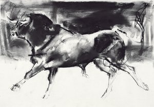 Schwarzer Stier