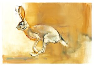 Kap-Hase, 2010