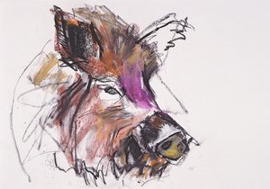 Dzik von Mark Adlington