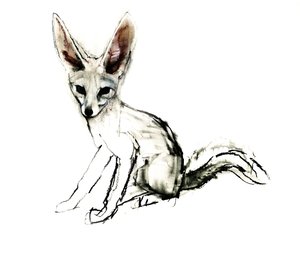Foxy (Sandfuchs), 2009 von Mark Adlington