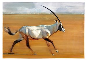 Galoppierender Oryx, 2010
