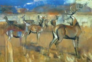Hirsche sammeln, 1998 von Mark Adlington
