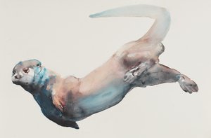 Jagd in der Tiefe von Mark Adlington