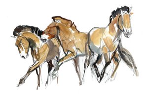 Mistral Drei (Przewalski)