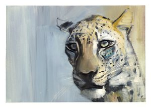 Raubtier (Arabischer Leopard), 2009