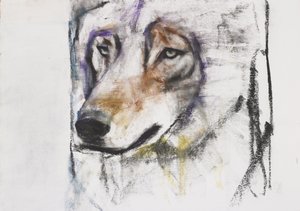Prozess gegen den Wolf von Mark Adlington