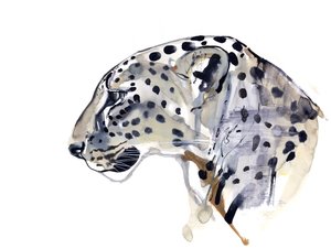 Profil (Arabischer Leopard), 2008