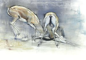 Sandgazellen, 2009 von Mark Adlington
