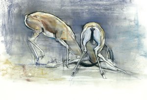 Sandgazellen, 2009 von Mark Adlington