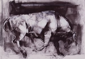 Der weiße Stier (Studie), 1998