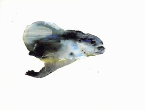 Unterwasser von Mark Adlington