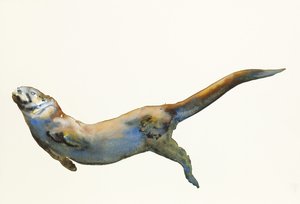 Samt, 2014 (Aquarell auf Papier) von Mark Adlington