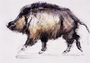 Wildschwein, 1999