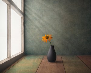 Goldene Blumen Stillleben von Marko Klavs