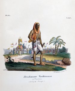 Brahmanenhofmann, 1828