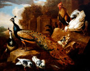 Pfauen, Tauben und andere Vögel vor einem klassischen Gebäude