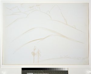 Berglandschaft mit zwei Kiefern