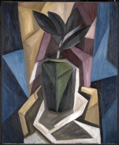Gummibaum, 1920