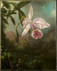 Orchideenblüten, 1873