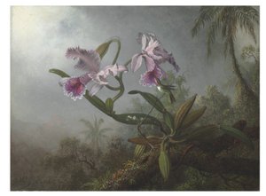 Rosa Orchideen und Kolibri auf einem Zweig, 1875