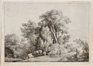 Landschaft