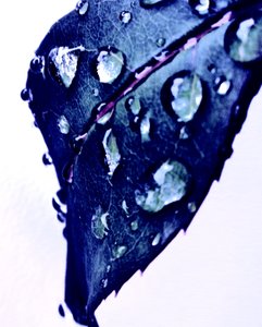 Wassertropfen Blau von Martina Konitzky