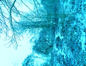 Winter Blau