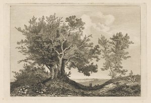 Landweg zwischen zwei Baumgruppen