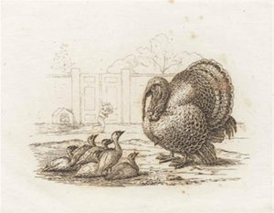 Illustration zu "Halvhundrede Fabler for Børn" von Hey von Martinus Rørbye