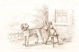 Illustration zu "Fünfzig Fabeln für Kinder" von Hey