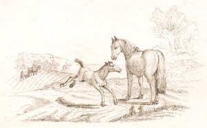 Illustration zu "Halvhundrede Fabler for Børn" von Hey von Martinus Rørbye