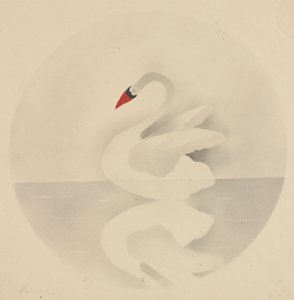 Schwan