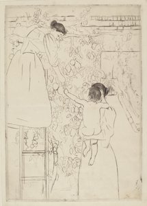 Früchte sammeln von Mary Cassatt