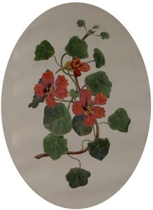 Kapuzinerkresse, ca. 1870