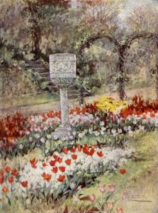 Schottische Gärten: South Bantaskine von Mary Georgina Wade Wilson