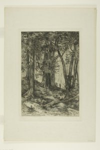Ein Wald in Kalifornien von Mary Nimmo Moran