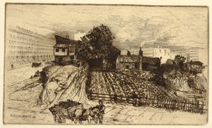 Eine Stadtfarm, New York von Mary Nimmo Moran