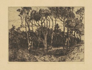 Einsamkeit von Mary Nimmo Moran