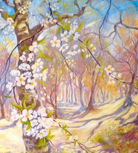 Große Blüten im Frühling