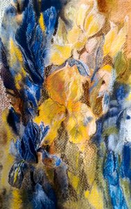 Goldene und blaue Iris