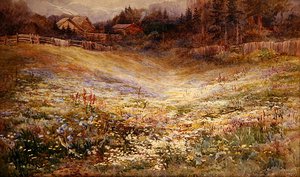 Eine Wiese in den Alpen von Mary Stevens