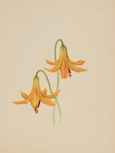 Unbetitelt - Blumenstudie, ca. 1876-1878