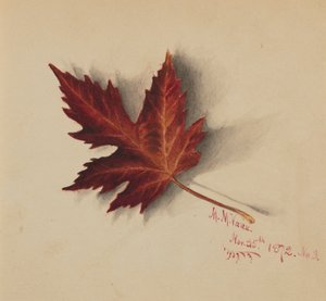 Unbetiteltes Herbstblatt, 1872
