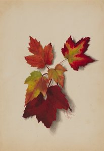 Ohne Titel Herbstblätter, 1874