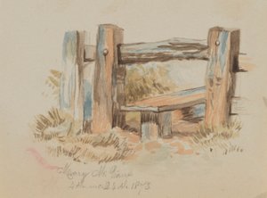 Ohne Titel, 1873 von Mary Vaux Walcott